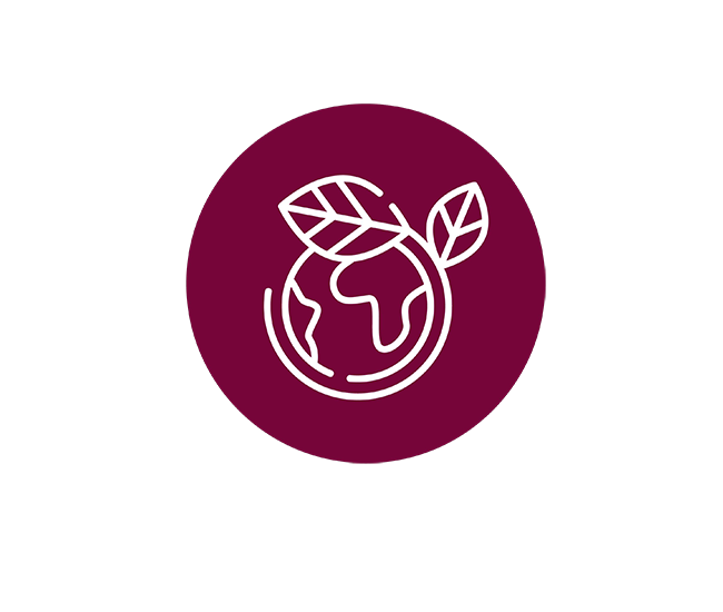 ESG-Focused Sustainability