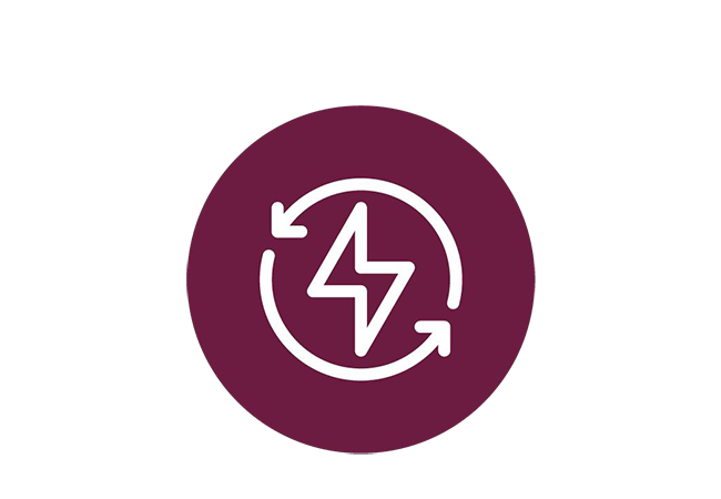 Automatic Recovery via Watchdog Timer
